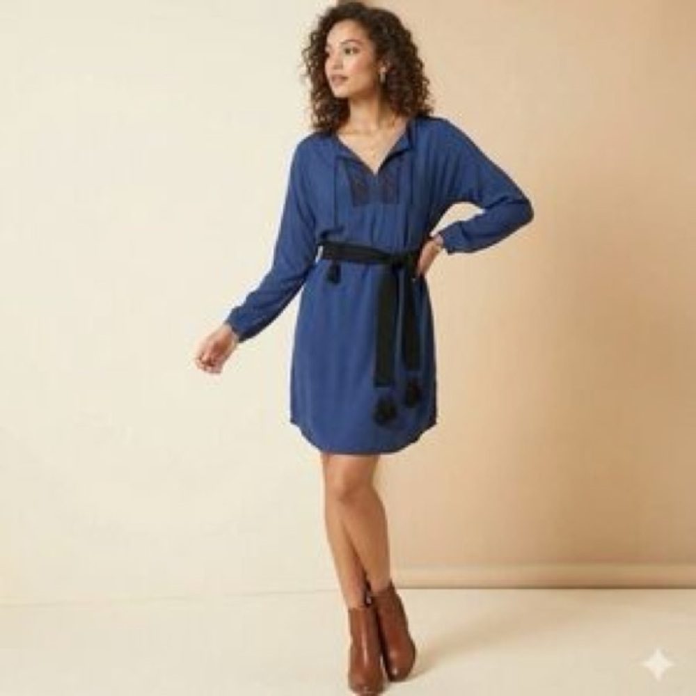 Madewell Royal Blue Long Sleeve Dress with Black Accents